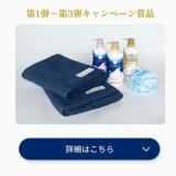 濃厚なるバウンシア王国の概要