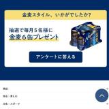 金麦スタイル、いかがでしたか?の概要