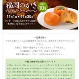 博多元気ドットコム★プレゼントキャンペーンの概要