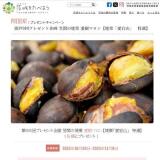 򤿤٤褦Ϣưץ쥼ȴγ