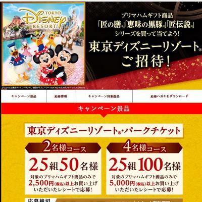 東京ディズニーリゾートご招待!の詳細