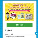 8020ץ쥼ȡ󥱡 ڡγ