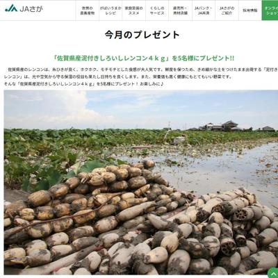 JAさが 佐賀県農業協同組合:今月のプレゼントの詳細