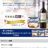 ̳ƻ100 ޥ١פȥ磻ڤ⤦ݥ졼뤬롪ڡγ