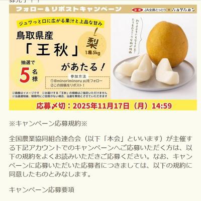 みのりみのるXフォロー&リポストキャンペーンの詳細