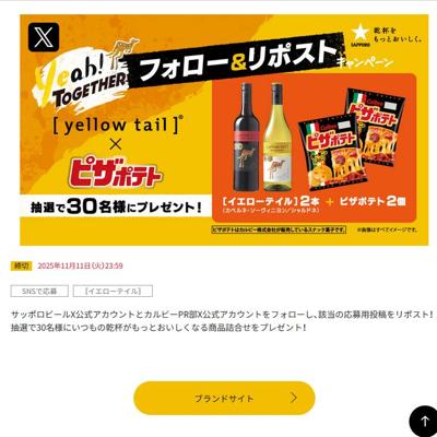 [ƥ]ߥԥݥƥ եݥ ڡξܺ