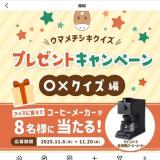 Ϥǿ䤷衪11ץ쥼ȥڡγ