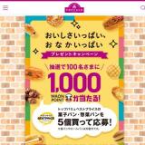 äѤʤäѤ ץ쥼ȥڡγ