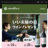 ؤ 磻ץ쥼ȥڡ 2025γ