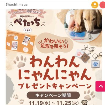 襤­Ĥˤˤץ쥼ȥڡξܺ