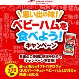 פФ̣٥ӡϥ򿩤٤褦ڡγ