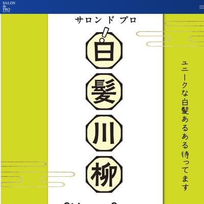 ホームサロン ド プロ 白髪川柳の詳細
