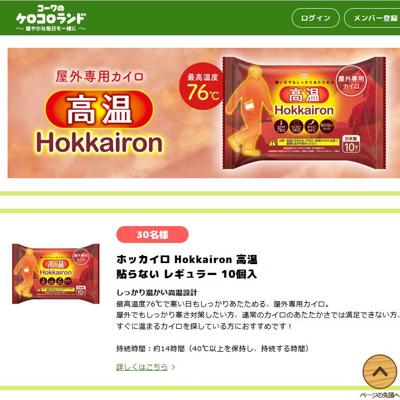 󥳥󤫤Υץ쥼Ȥξܺ