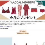 My Wacoal Сץ쥼Ȥγ