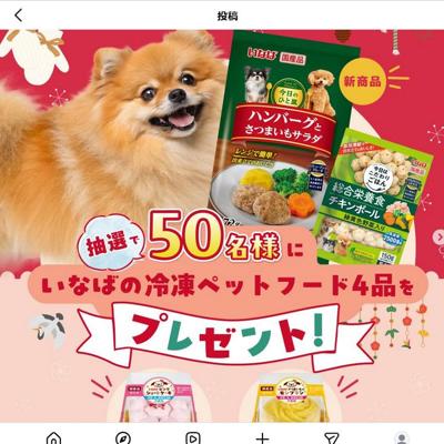 ペットメディア「PECO」とのInstagramタイアップキャンペーンの詳細