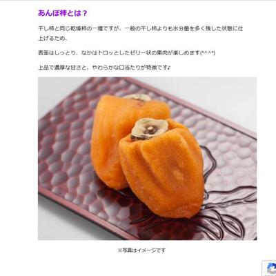 JA����ʡ�硧�ץ쥼��Ȥξܺ�