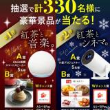 �錄���Τ�˫�����֥����ڡ���γ���