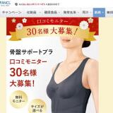 �����ߥ�˥������罸���γ���