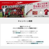 ���������ꥰ�å��ʤɤ�������ץ쥼��ȥ����ڡ���γ���