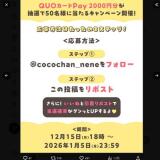 �����ҤĤ� ��������� Winter�ץ쥼��ȥ����ڡ���γ���