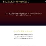 TSUBAKI���ؤ���������������ڡ���γ���