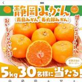 �Ų��ߤ��� �ץ쥼��ȥ����ڡ���γ���