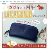 �᡼��ޥ������ۿ�(�ץ쥼��ȥ����ڡ���)�γ���