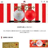 ���㥹������Τ�ǯ�̥ץ쥼��ȥ����ڡ���γ���