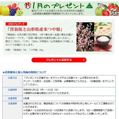 おいしい山形11月のプレゼントの詳細