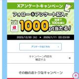 X���󥱡��ȥ����ڡ���γ���