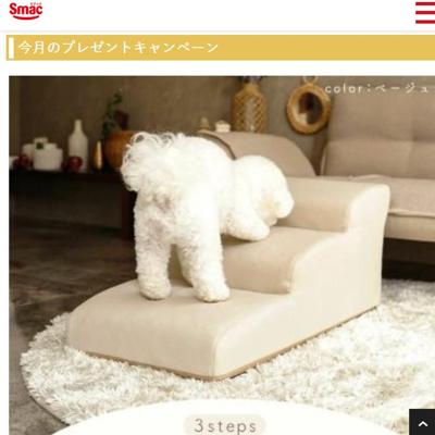 ����Υץ쥼��ȥ����ڡ���ξܺ�