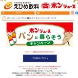 �ݥ󥸥塼�� �ѥ����餽�������ڡ���γ���