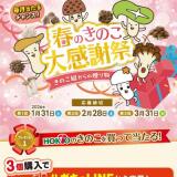 �դΤ��Τ��紶�պפγ���