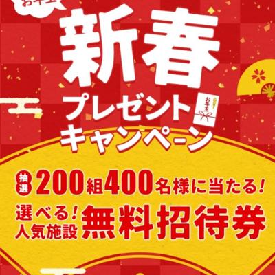 ���դ�ǯ�̥ץ쥼��ȥ����ڡ���ξܺ�