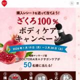 ������100��ܥǥ����������ڡ���γ���