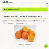 ����(1��)�Υץ쥼��Ȥγ���