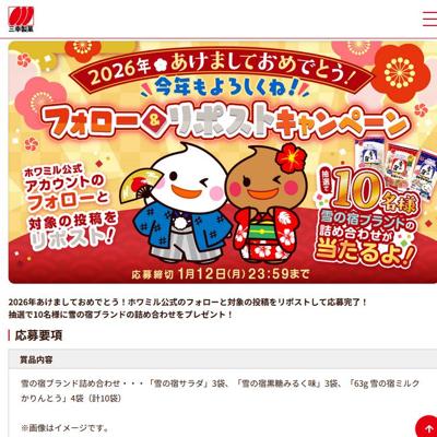 �ۥ�ߥ����X�ե���������ݥ��ȥ����ڡ���ξܺ�