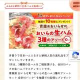 ����Υץ쥼��Ȥγ���