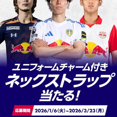 ��˥ե�������㡼���դ��ͥå����ȥ�å������롪�����ڡ���ξܺ�