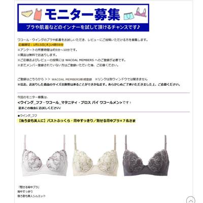 ��ӥ塼��˥����罸���ξܺ�