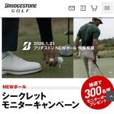 NEW�ܡ��륷������åȥ�˥��������ڡ���γ���