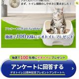 �ǥ��ȥ��� �ͤ��Τ����WEB���� ���󥱡��ȥ����ڡ���γ���