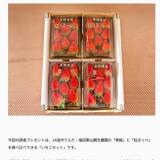 Ĺ��Τ����������ץ쥼��Ȥγ���