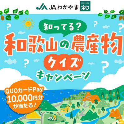 �ΤäƤ롩�²λ�������ʪ�������ξܺ�