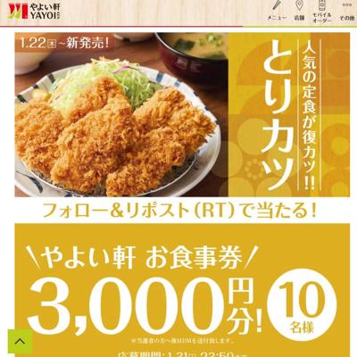 �Ȥꥫ���꿩 ȯ�䵭ǰ�����ڡ���ξܺ�