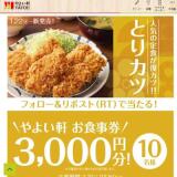 �Ȥꥫ���꿩 ȯ�䵭ǰ�����ڡ���γ���