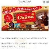 ���ۻҤȡ��錄���ɼԸ���ץ쥼��ȥ����ڡ���γ���