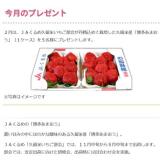 ����Υץ쥼��Ȥγ���