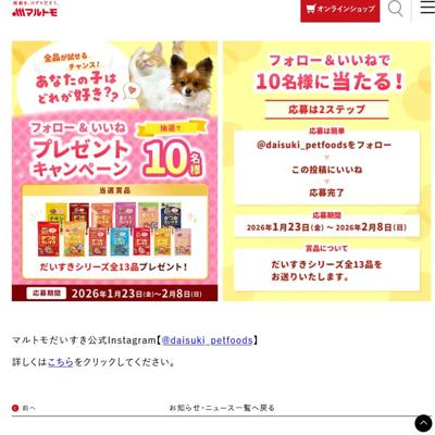 だいすき公式Instagramでプレゼントキャンペーンの詳細