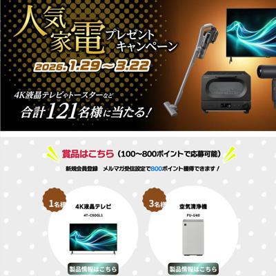 �͵����ťץ쥼��ȥ����ڡ���ξܺ�